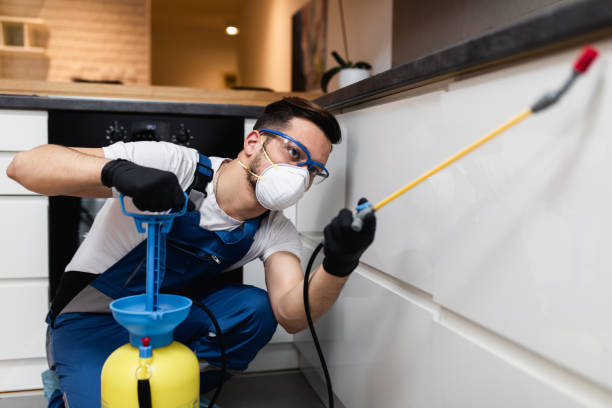 Best Pest Prevention Services  in Fredericksburg, IA