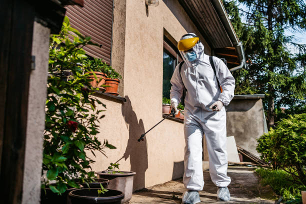 Best Local Pest Control Services  in Fredericksburg, IA