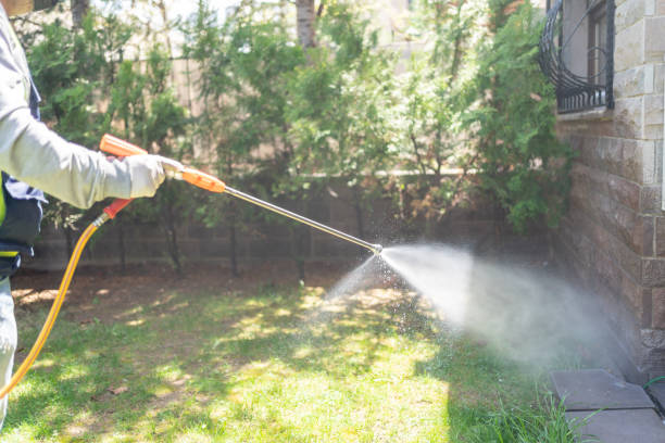 Bird Control in Fredericksburg, IA