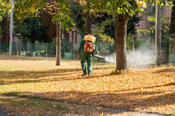 Best Mosquito Control Services  in Fredericksburg, IA