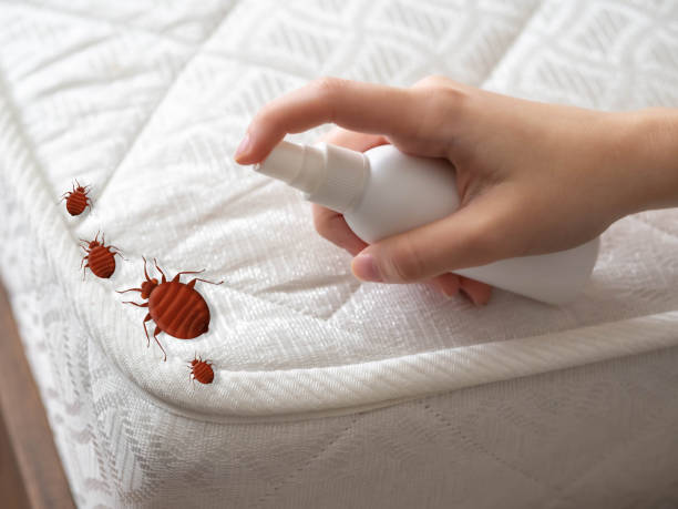 Best Pest Removal Services  in Fredericksburg, IA