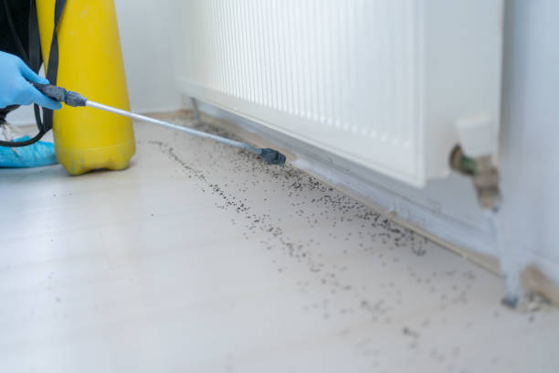 Trusted Fredericksburg, IA Pest Control Experts